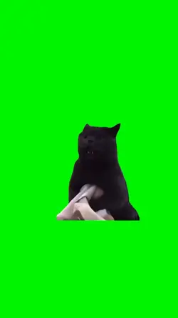 DEVIL CAT