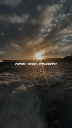 Düşmanlığında Bir