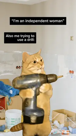 Cat Drilling 