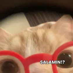 #Nasan aking salamin