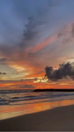 Senja