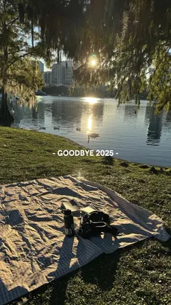 Good bey 2025