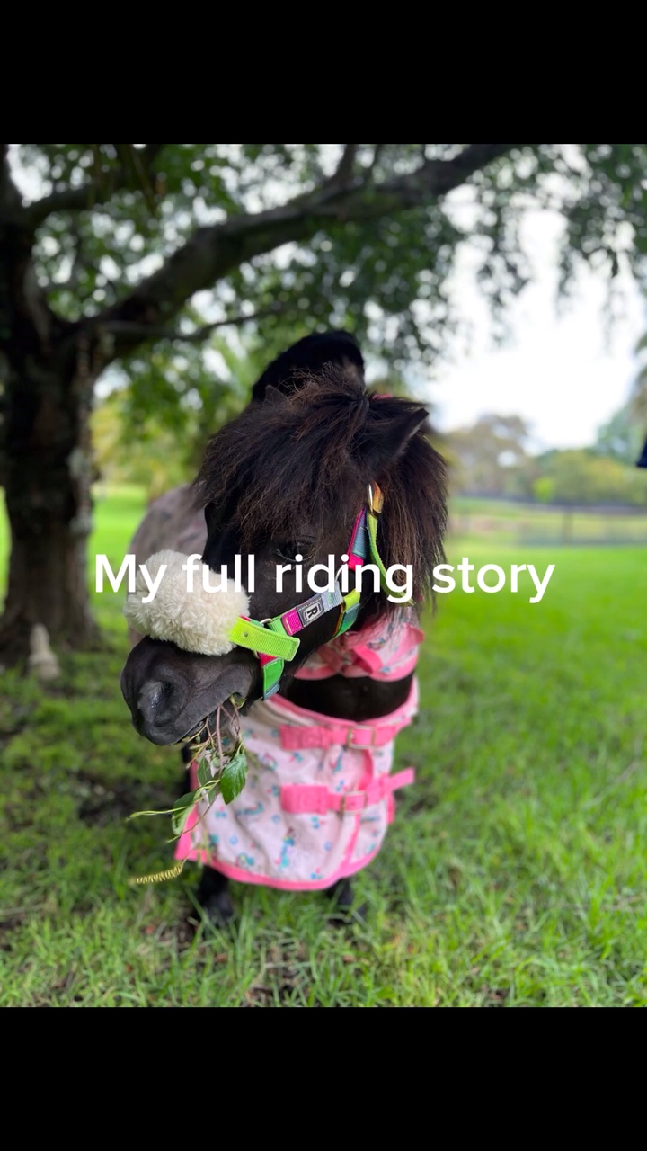 My riding story 