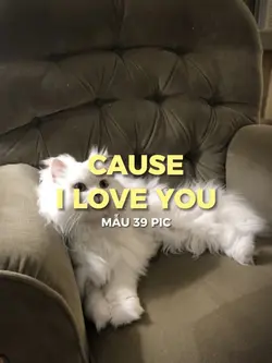 [39]CAUSE I LOVE YOU