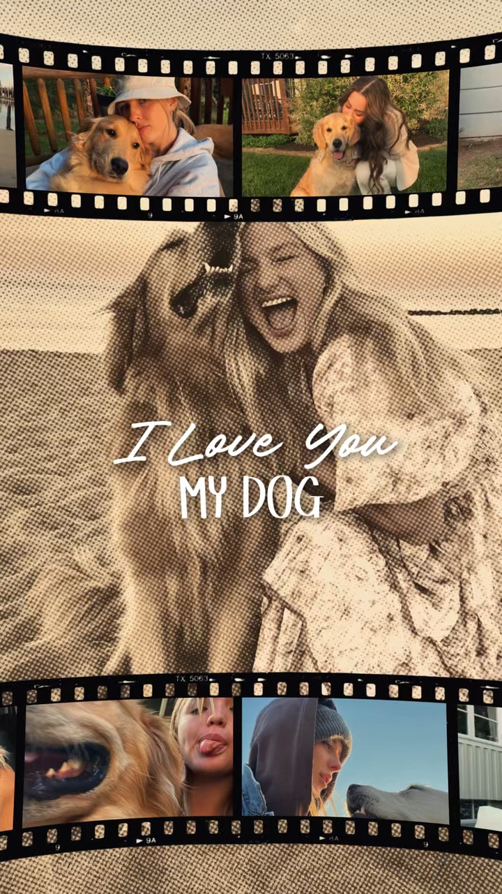 I love my dog