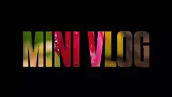 mini vlog 
