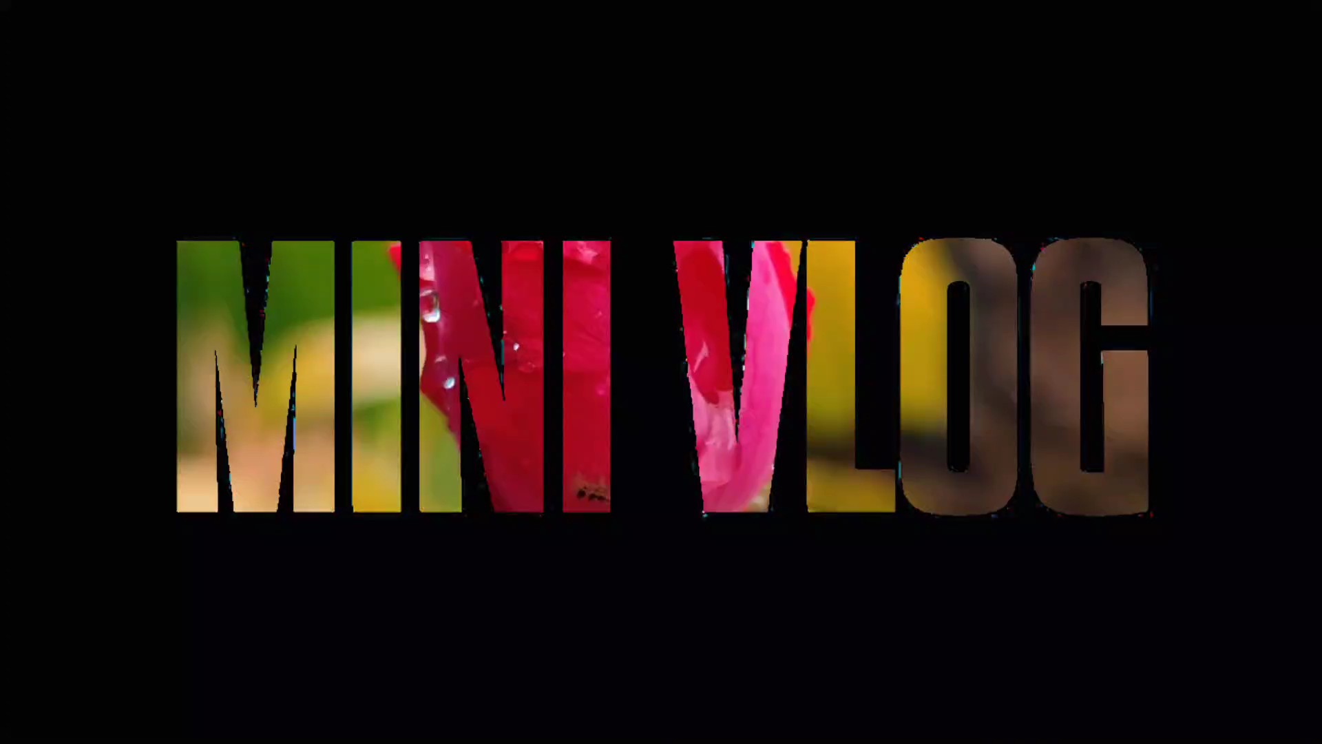 vlog mini 