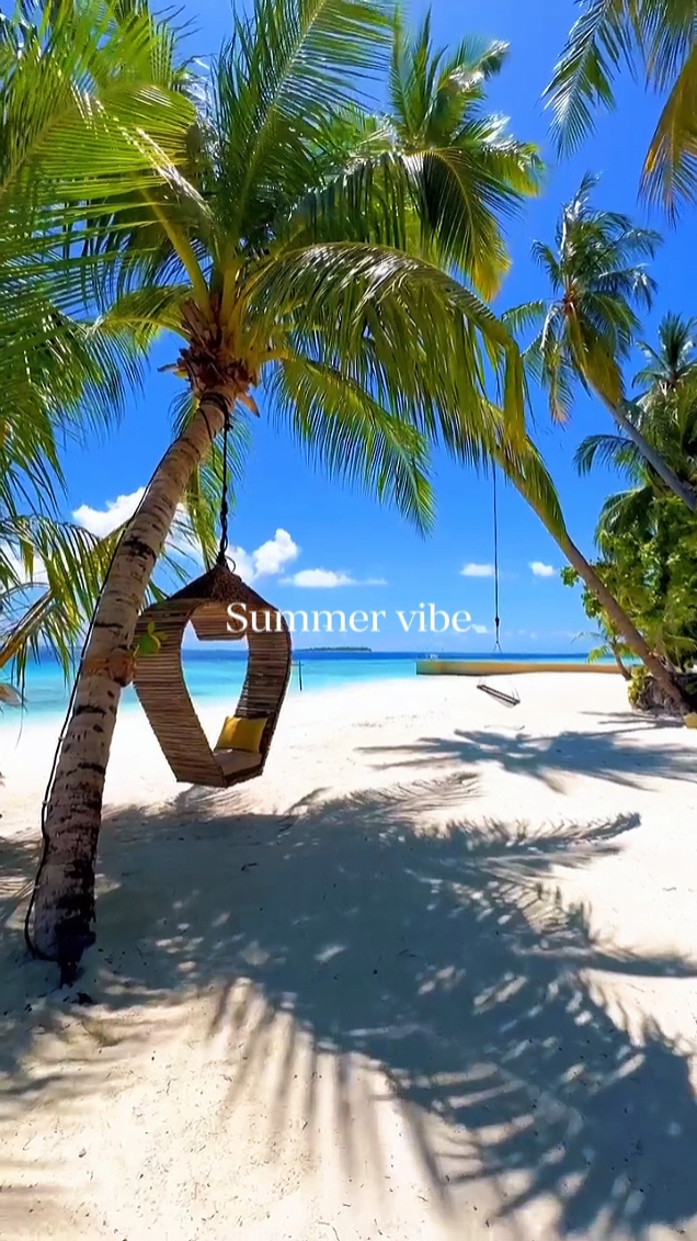 Summer Vibe