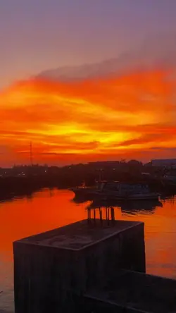 video sunset estetik