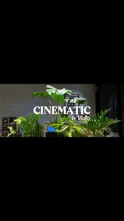 CINEMATIC 6 Vidio