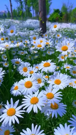 Hello Spring