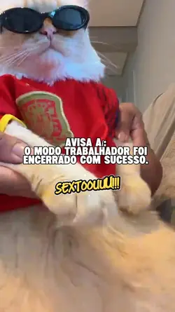 Avisa ai: