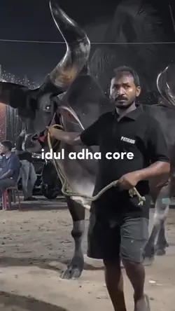 Idul adha core