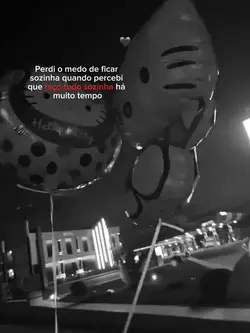 faço tudo sozinha