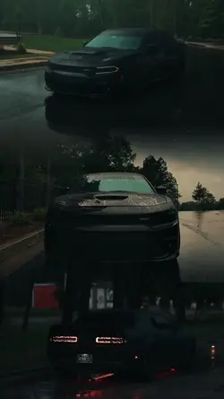 3VIDEO | CAREDIT🐺