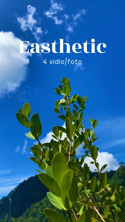 4 vidio easthetic
