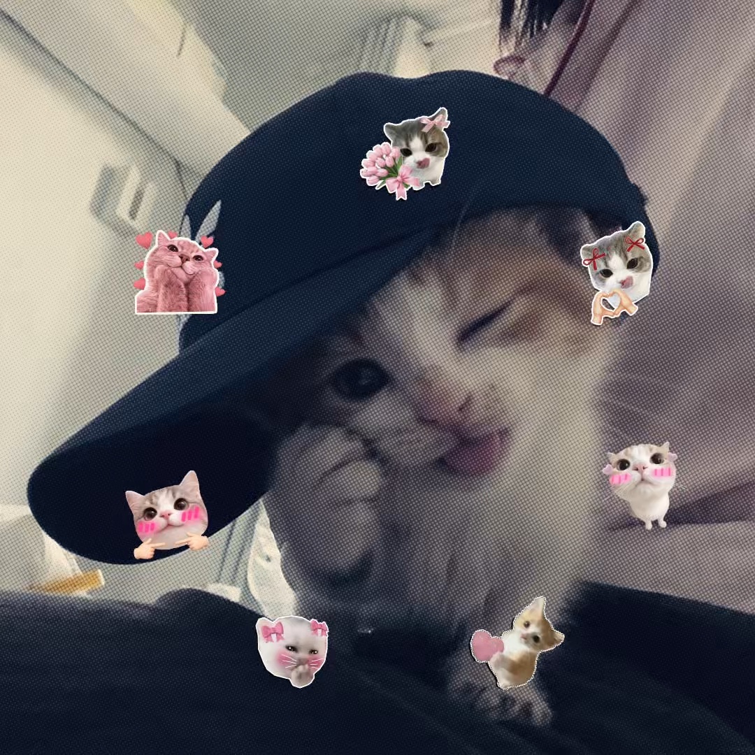 Cutie 