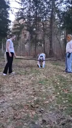 Therian slowmo