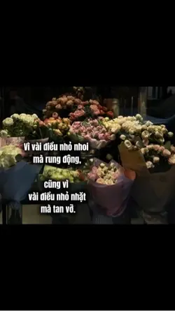 1ảnh