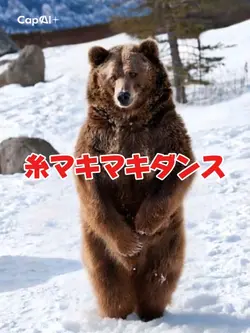 糸マキマキダンス AI