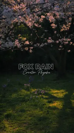 Fox Rain 2 ảnh