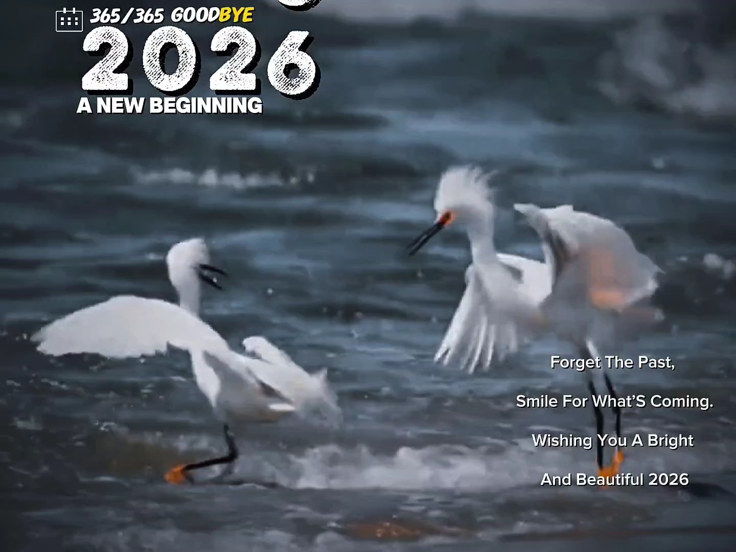 Happy new year 2026
