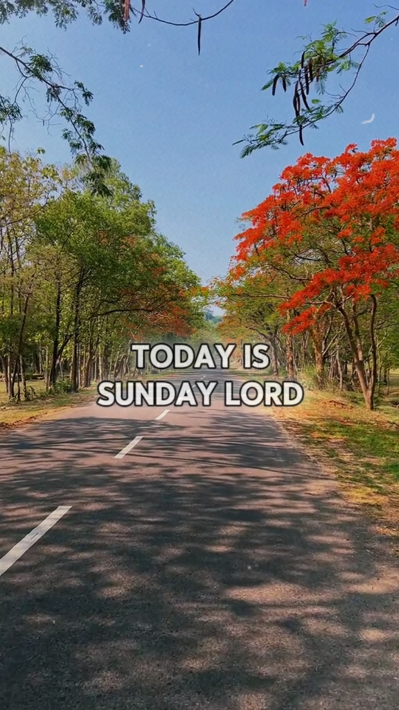 Oración del domingo