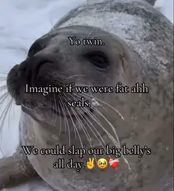 ts would be peak❤️🩹✌🏾