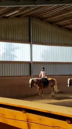 POV: alte Reitvideos