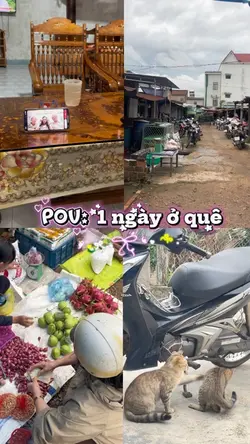 Vị nhà
