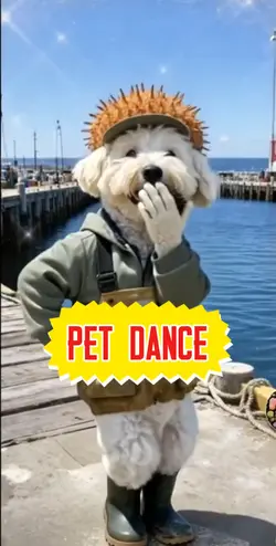 petdance
