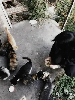 i'll be here waiting