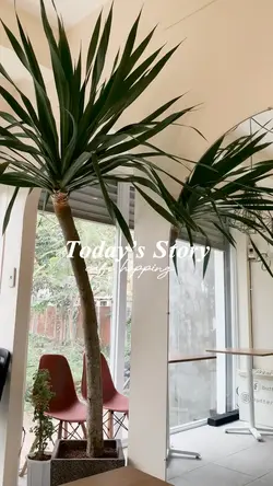 Today’s Story
