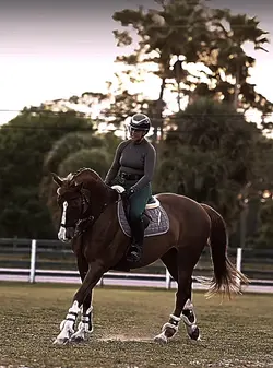 Dressage