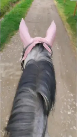 slowmoooo