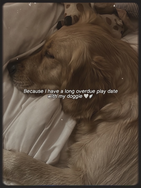 when i die…