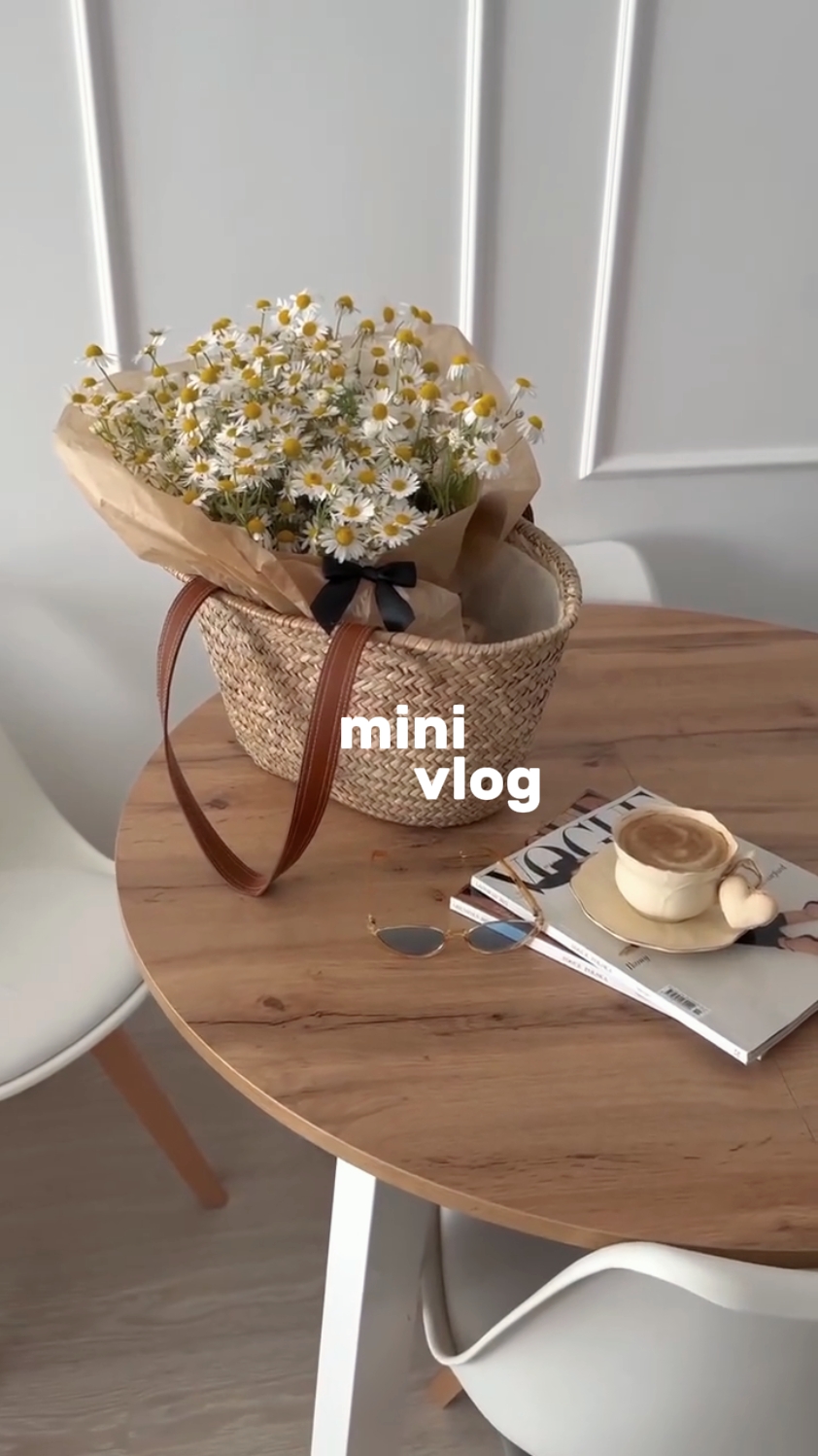 Mini vlog