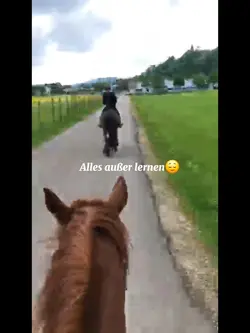 alles ausser lernen