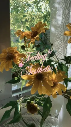 feeling aesthetic
