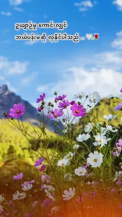 ❤️love flowers 🌹 