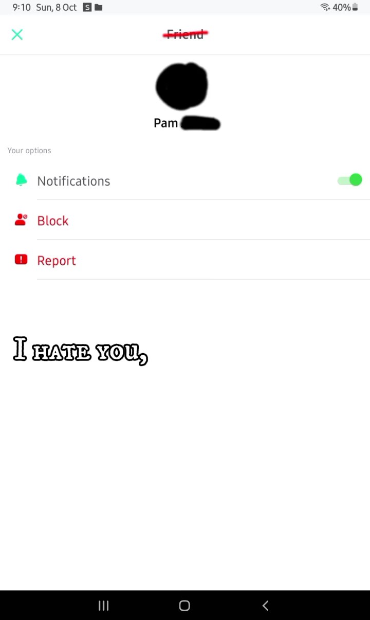 Fuck you Pamela.
