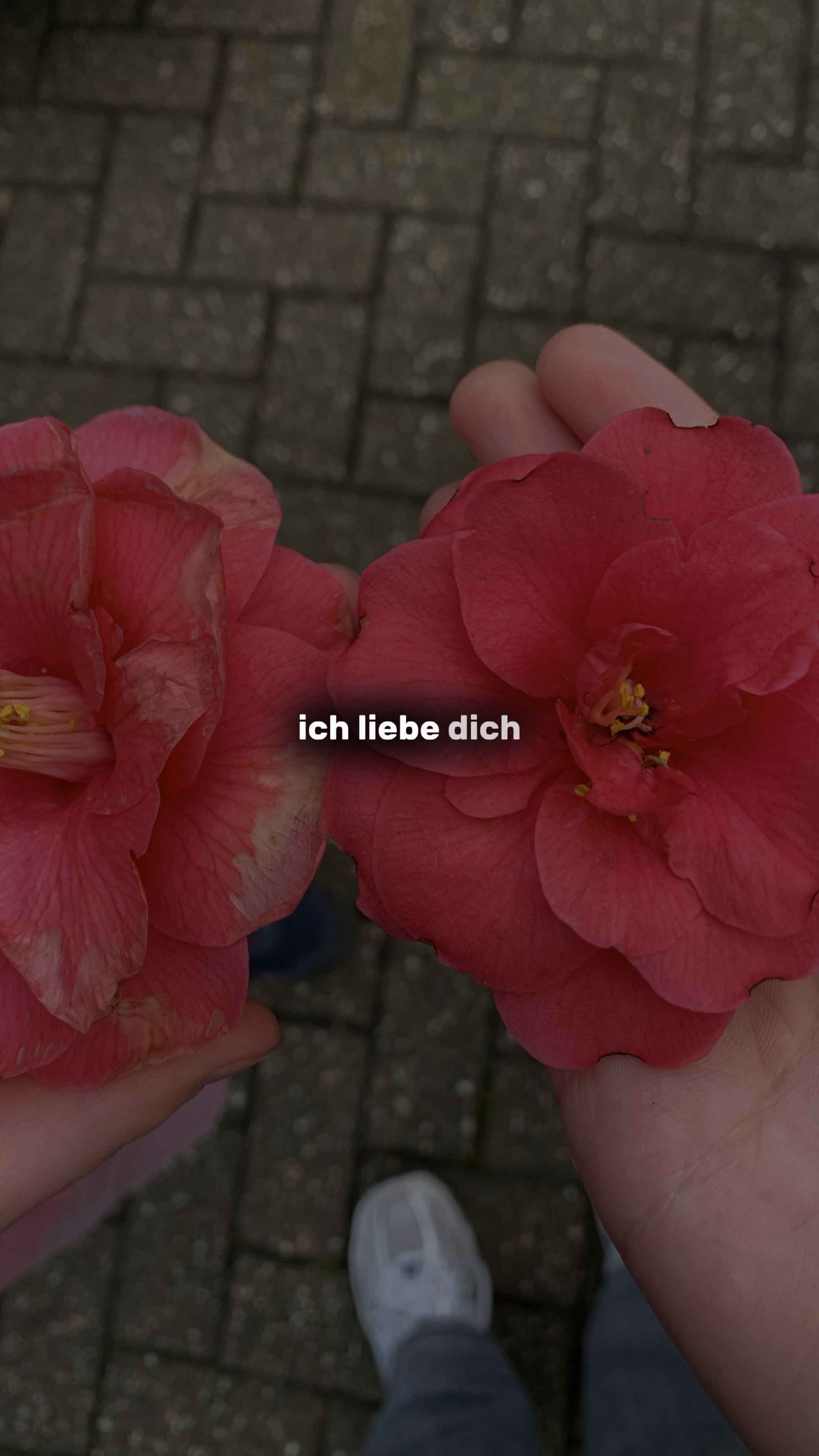 bleib bei mir🫶🏻❤️‍🩹