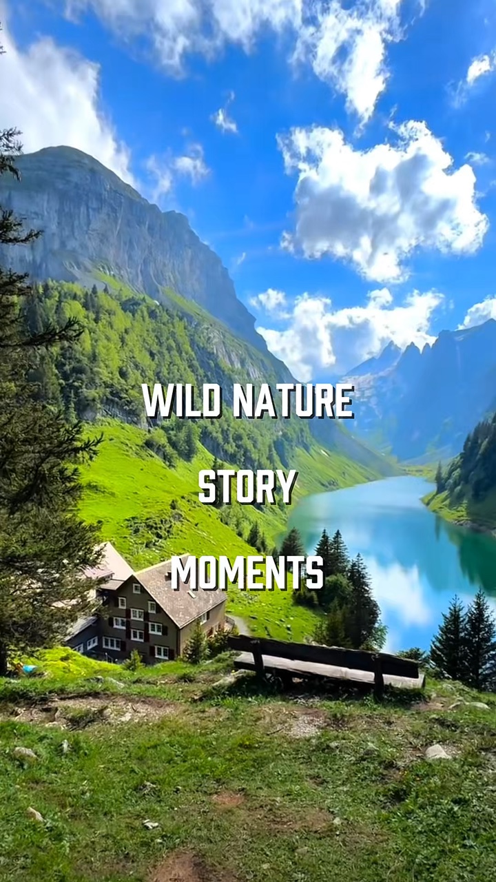 8 clips wild nature 