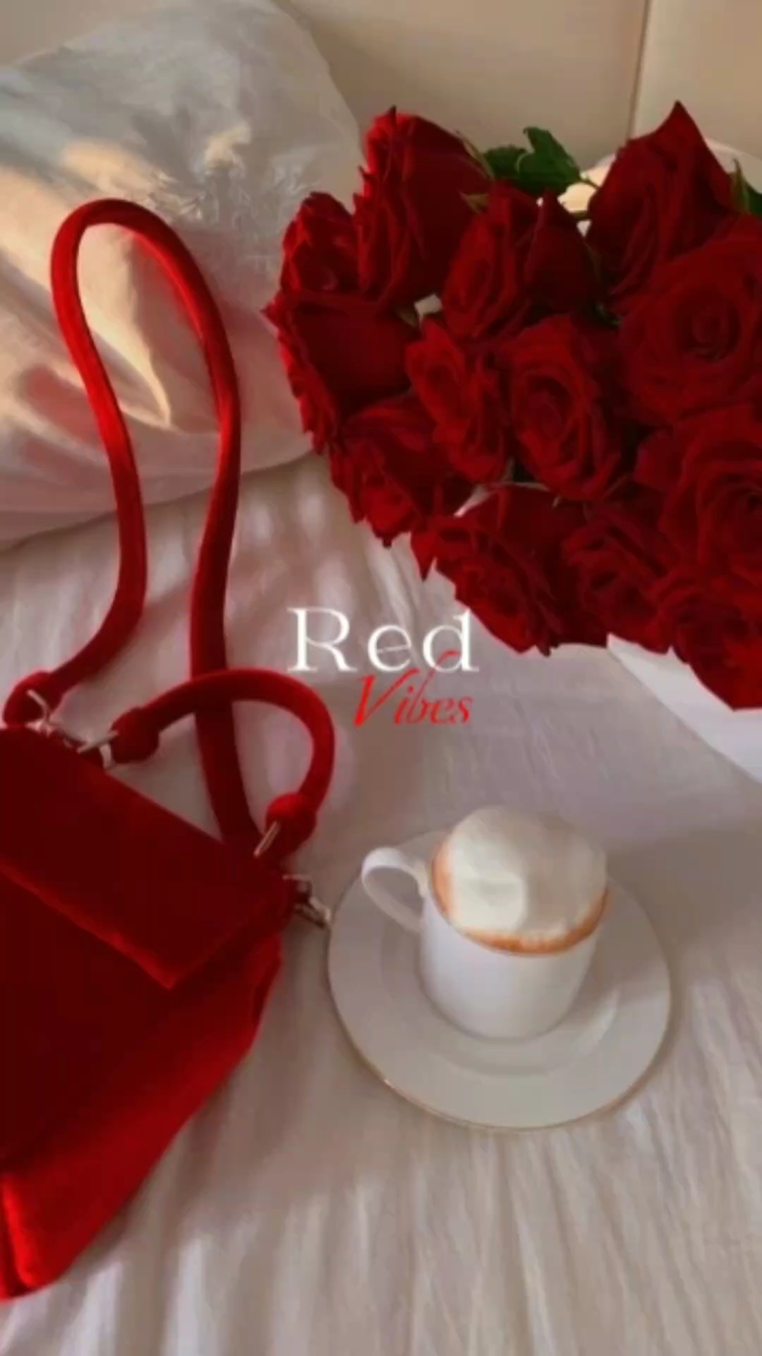 Vibras Rojas 