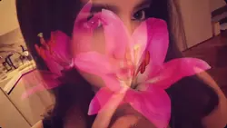 Flower blossom