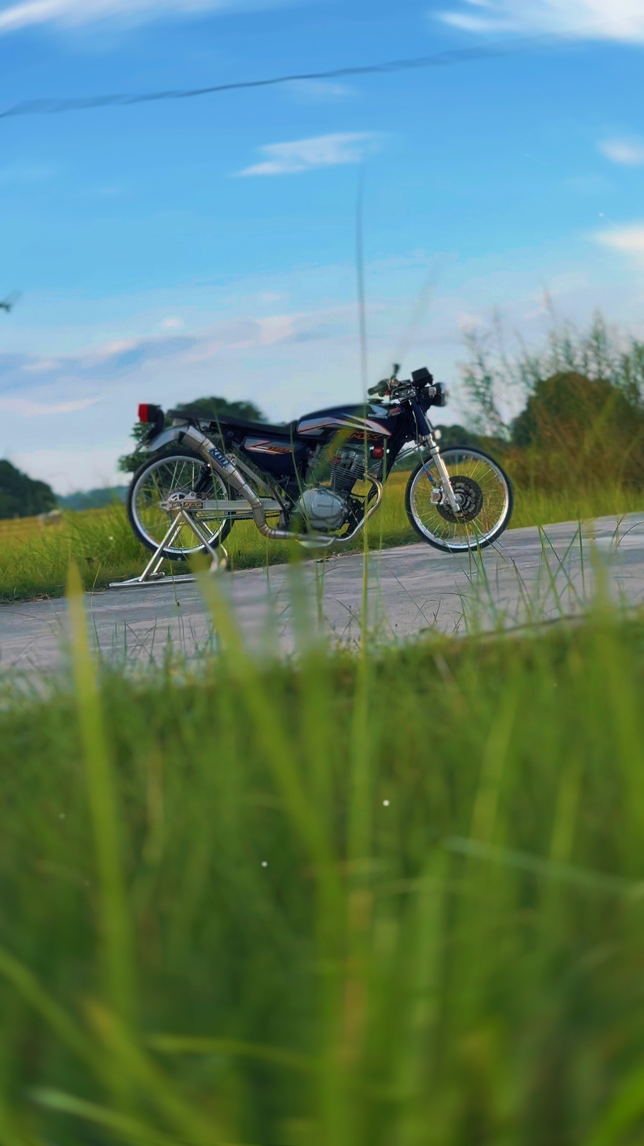 Cover Picture