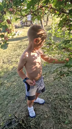 Când înțelegi viața.