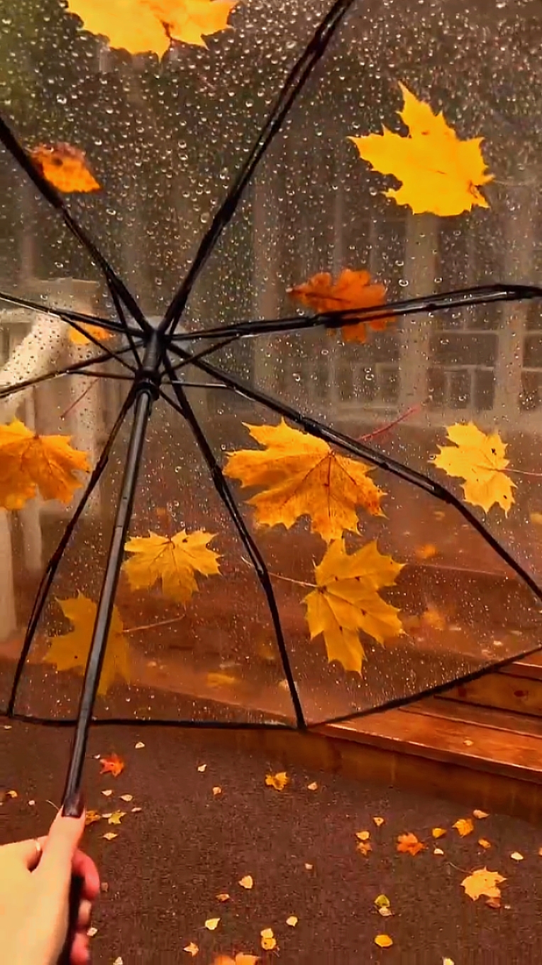  autumn vibes