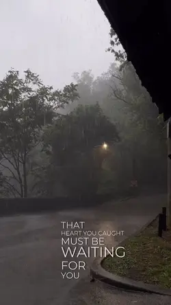 Set Fire To The Rain