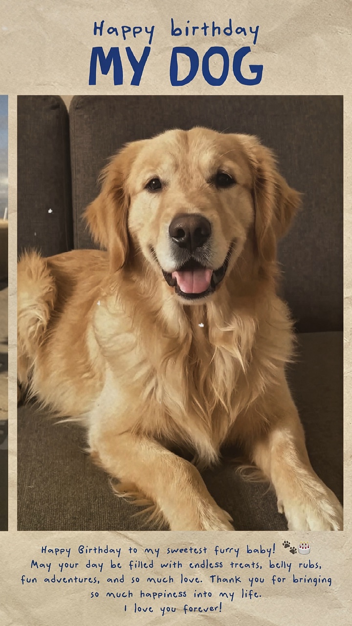 Hbd mon chien 